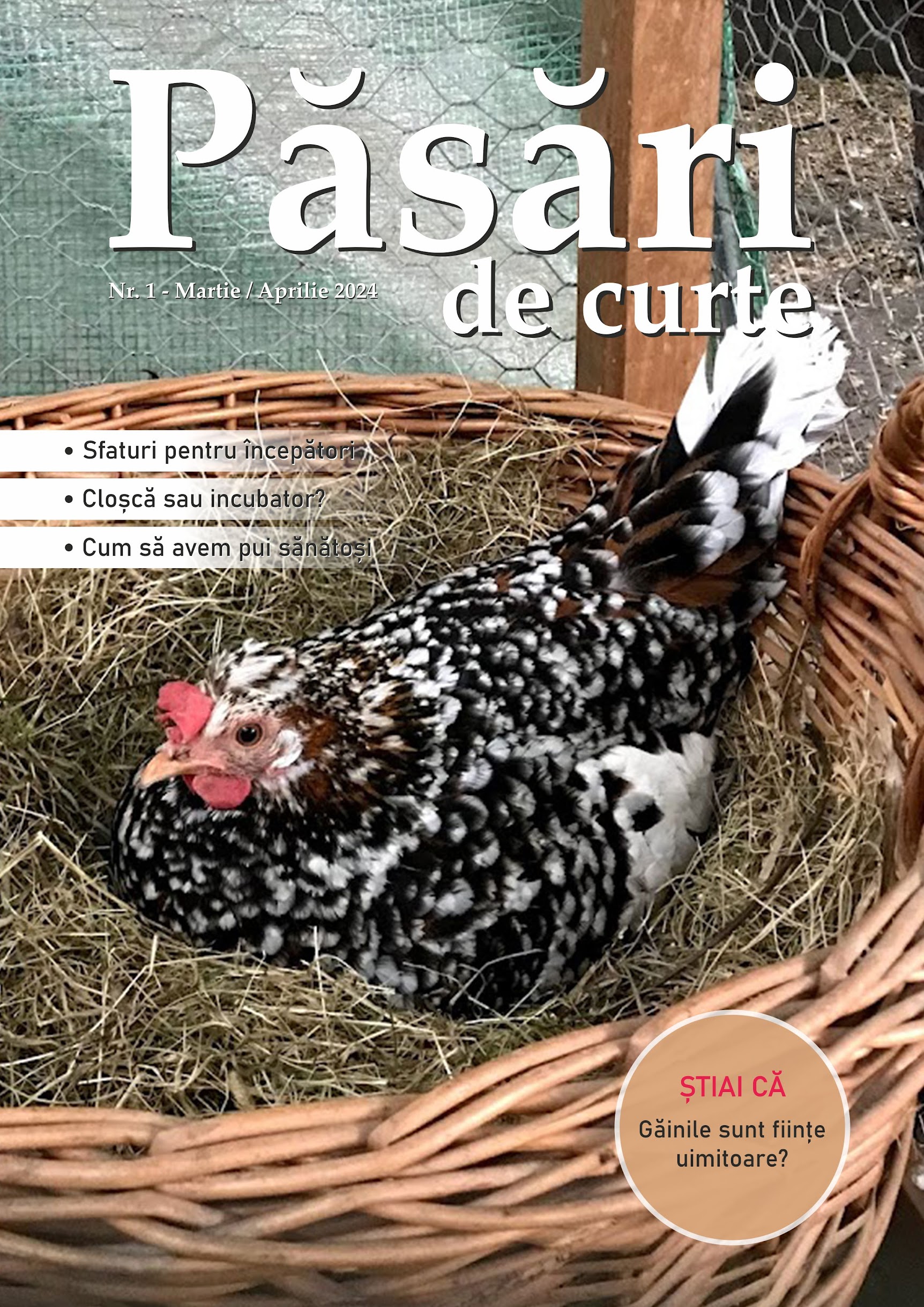 Revista Pasari De Curte Nr.1