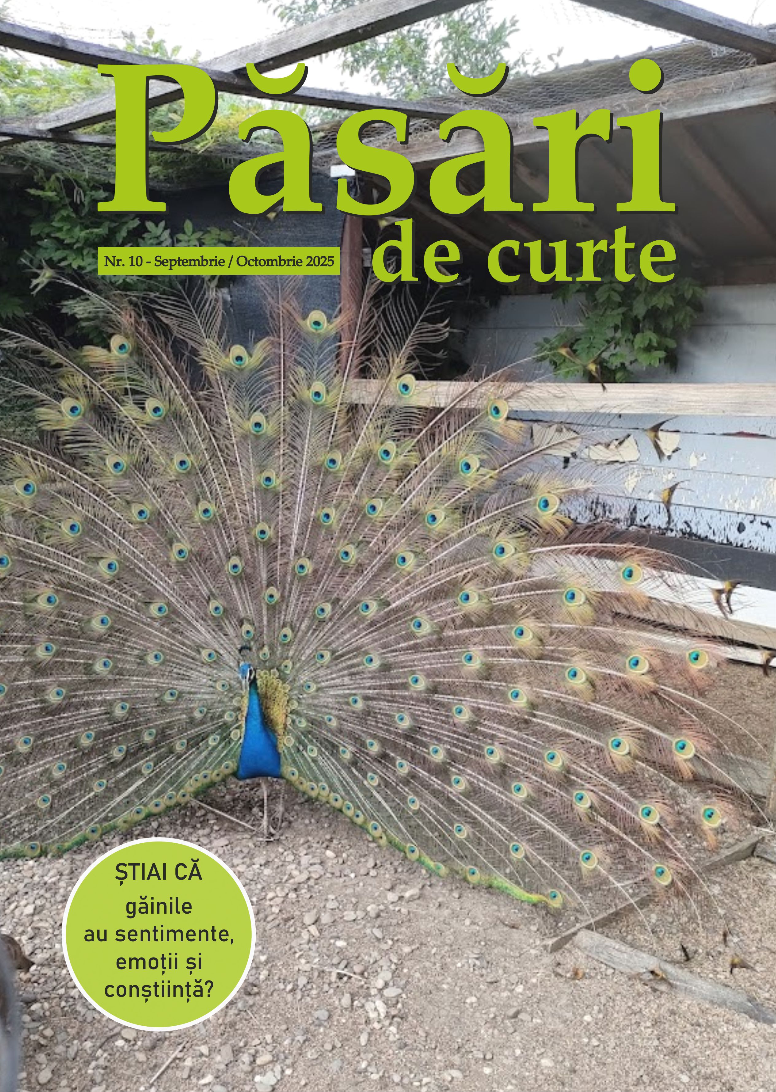 Revista Pasari De Curte Nr.10