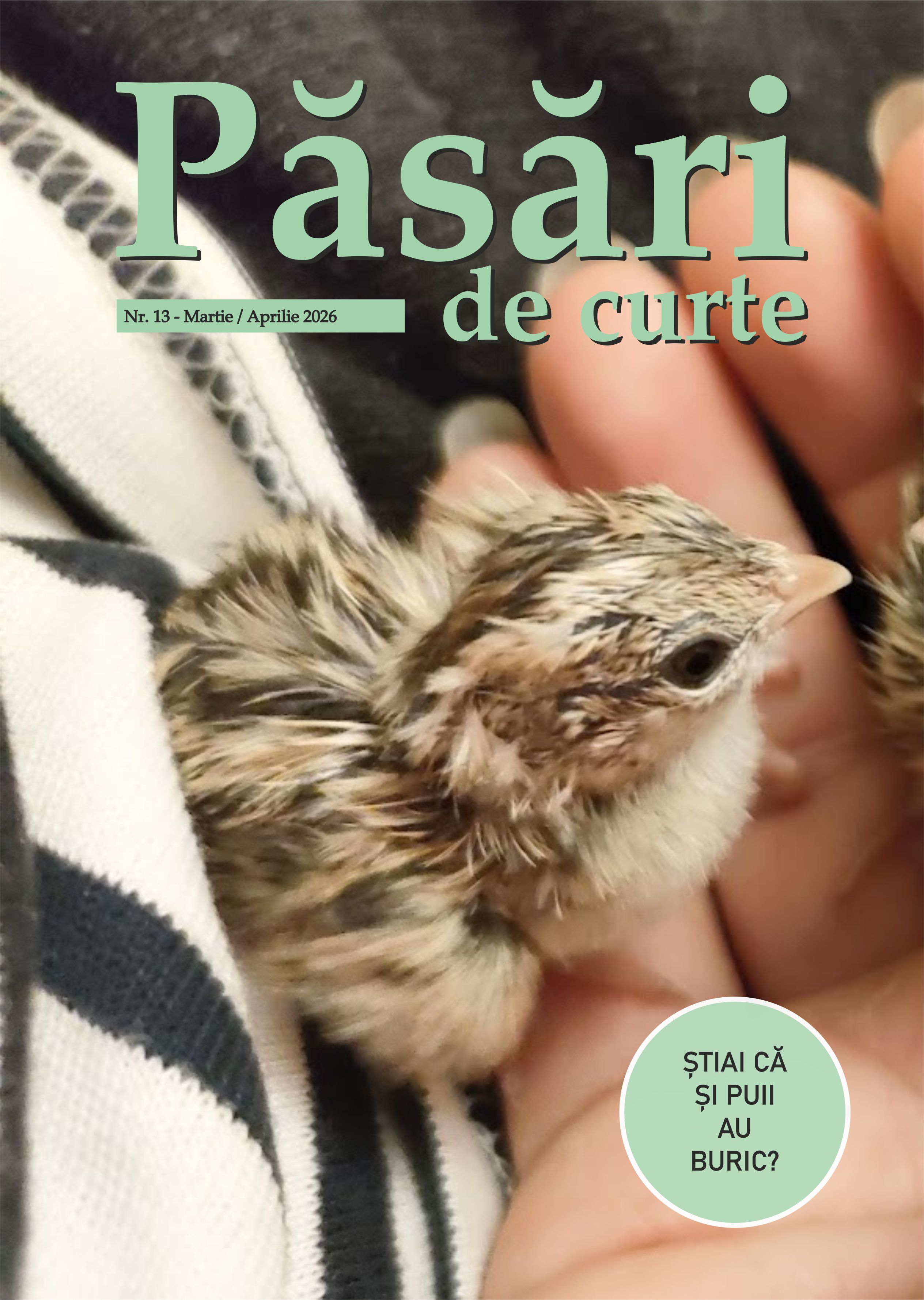Revista Pasari De Curte Nr.13