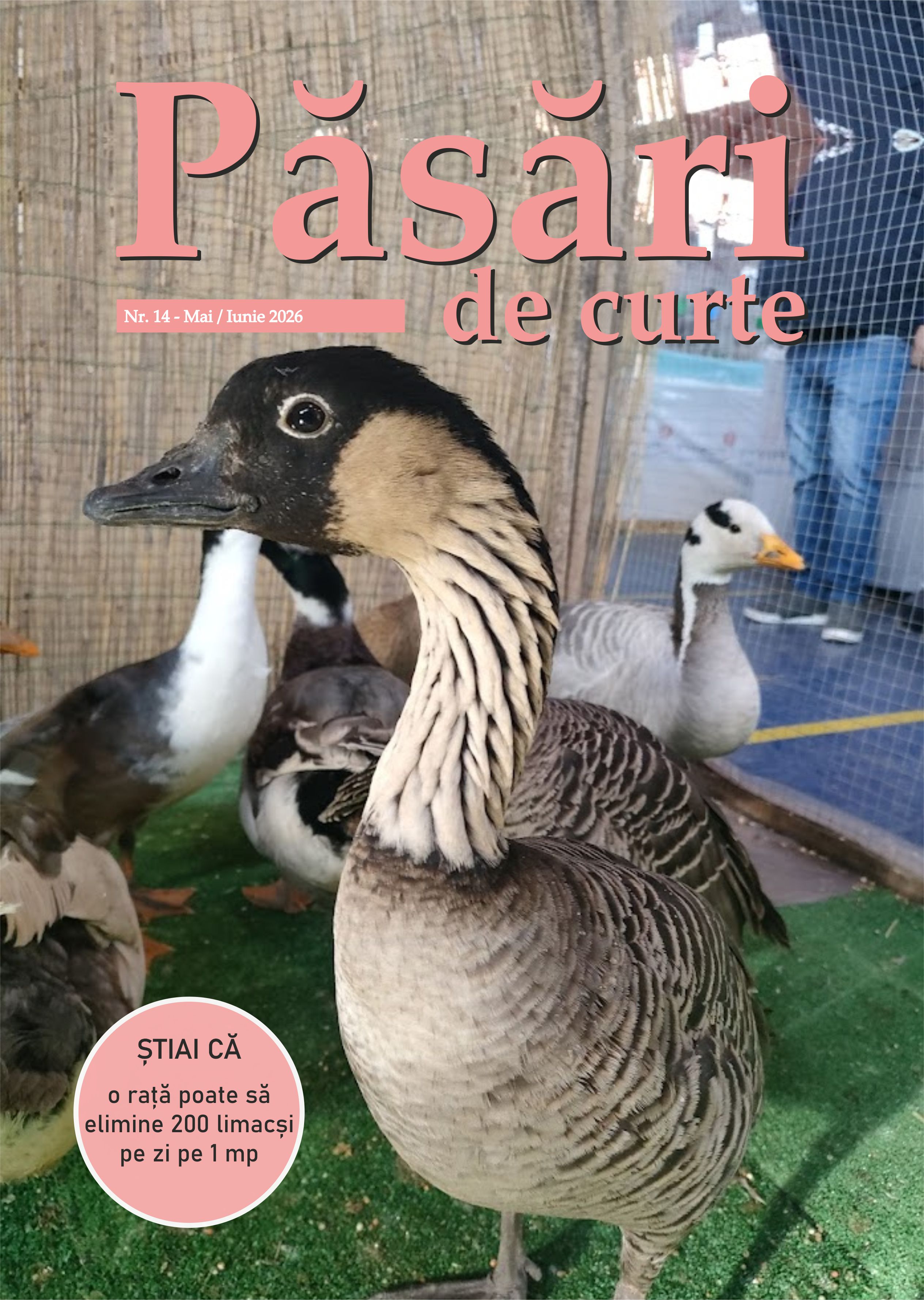 Revista Pasari De Curte Nr.14