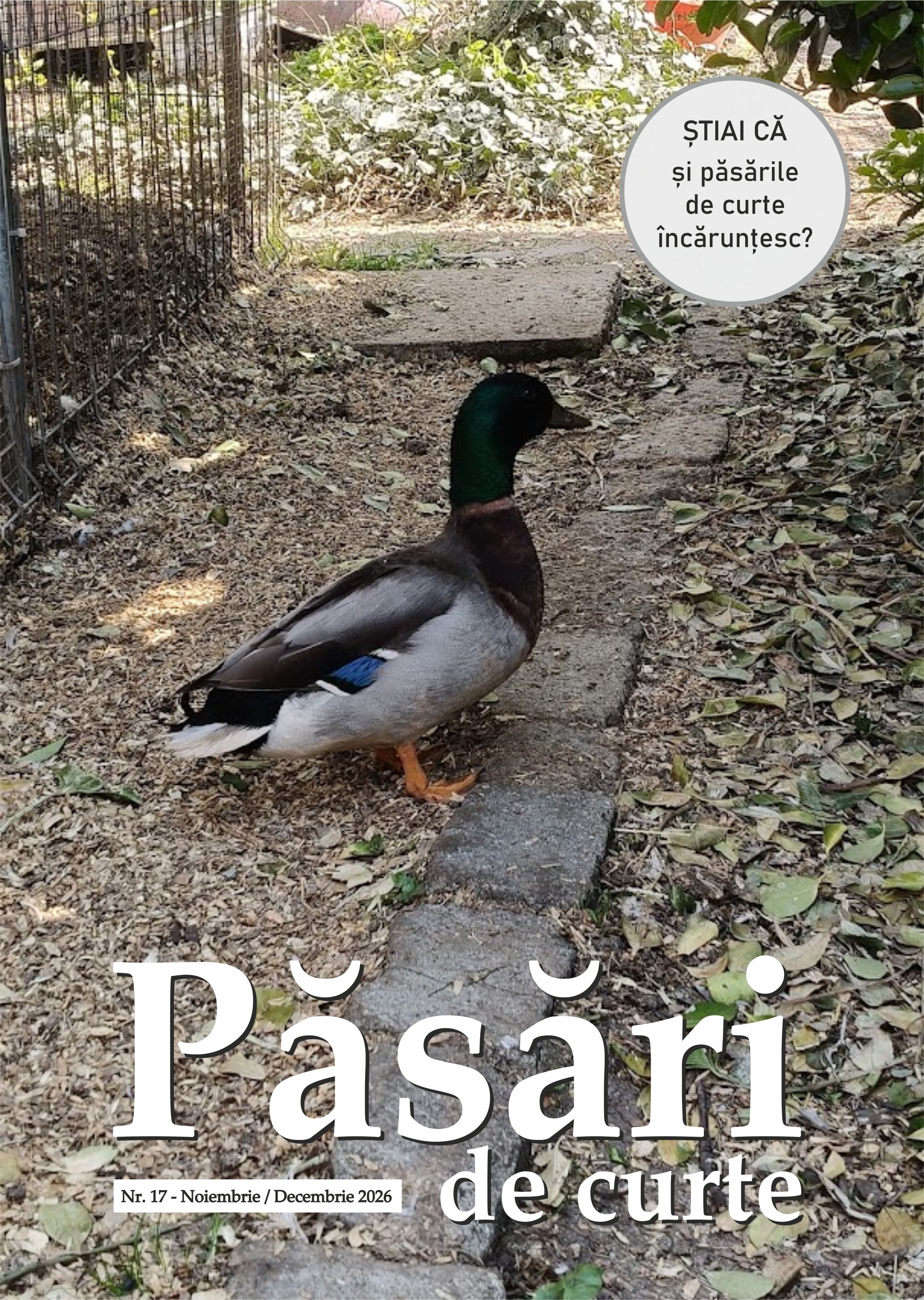 Revista Pasari De Curte Nr.17
