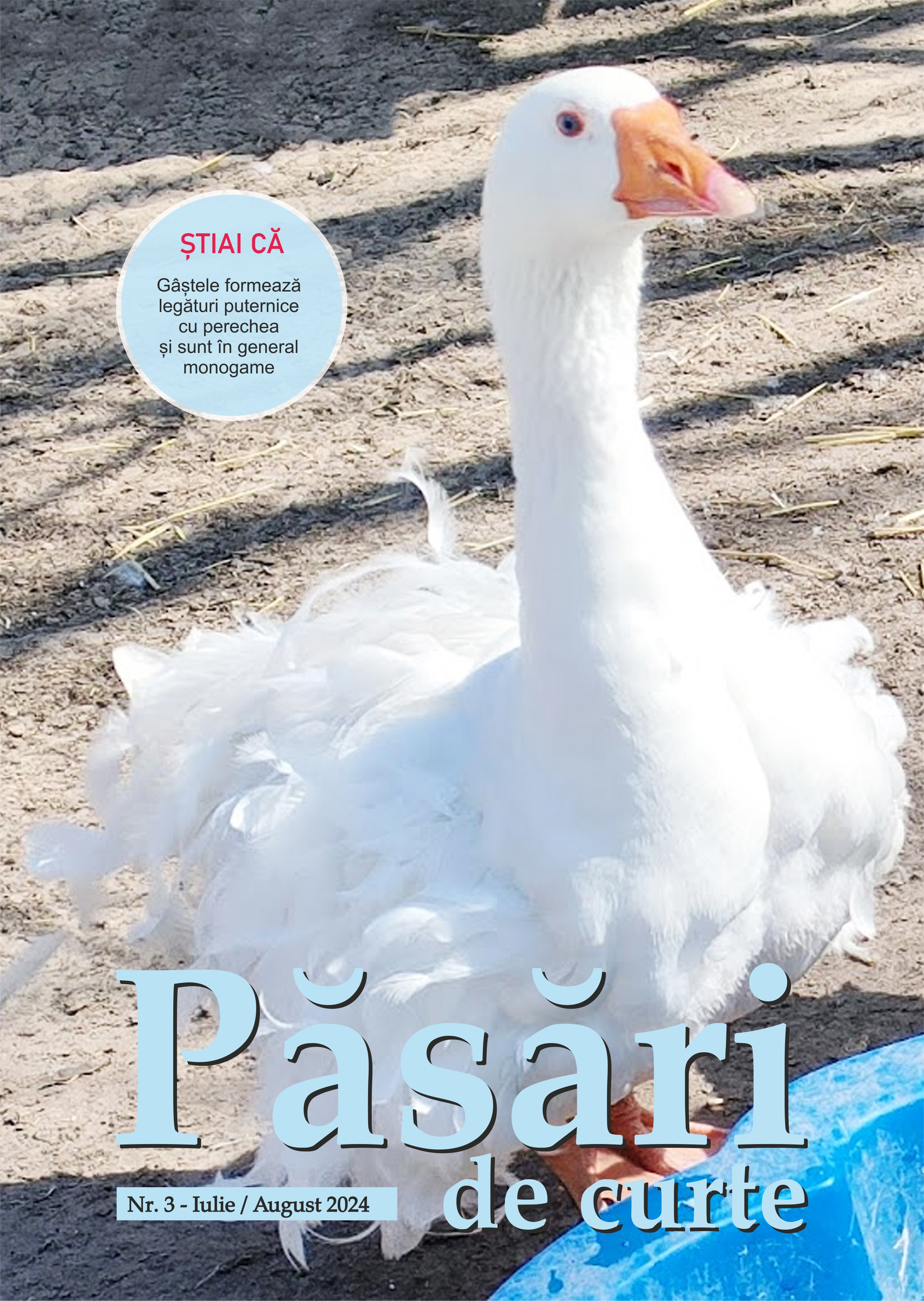 Revista Pasari De Curte Nr.3