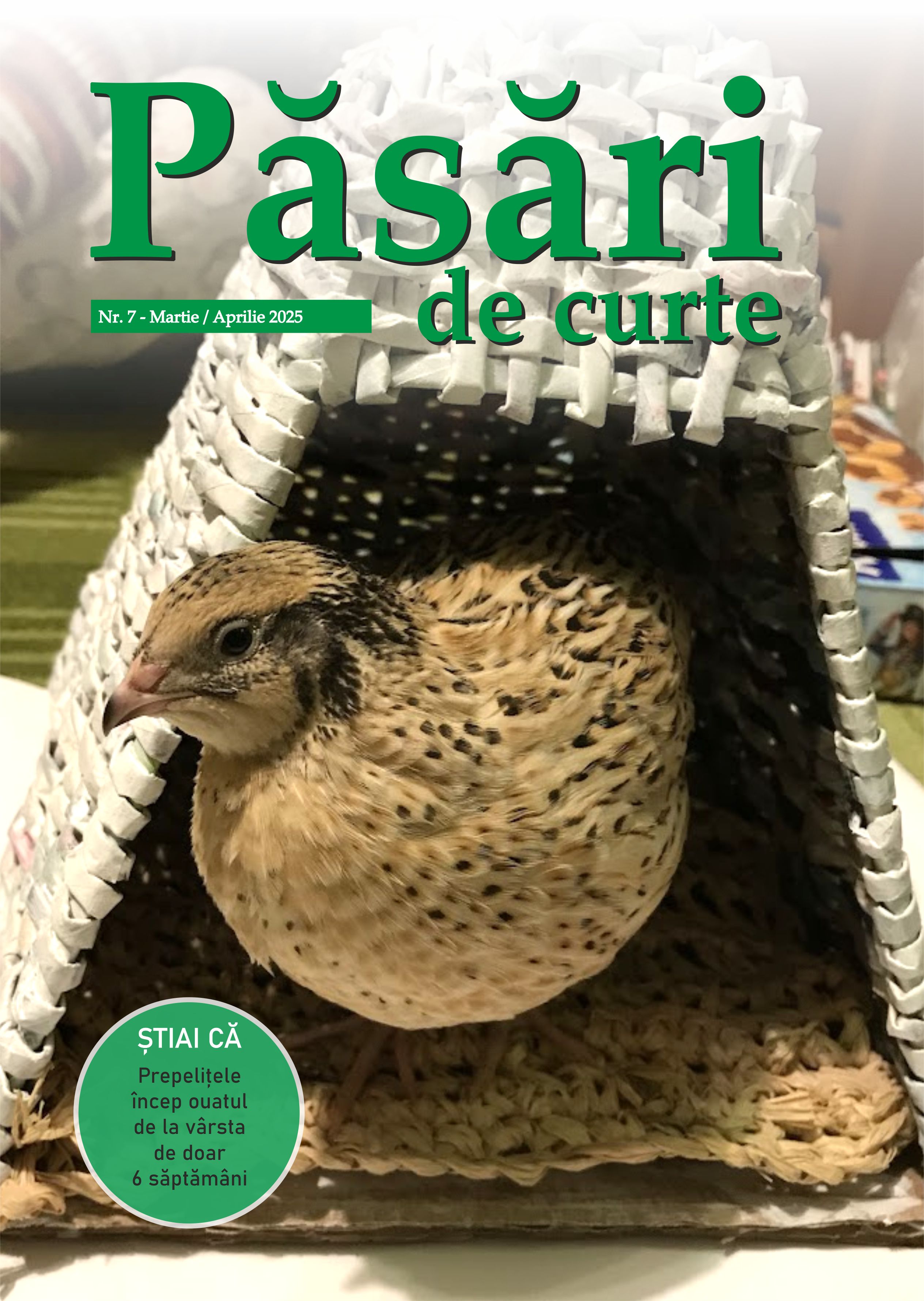Revista Pasari De Curte Nr.7